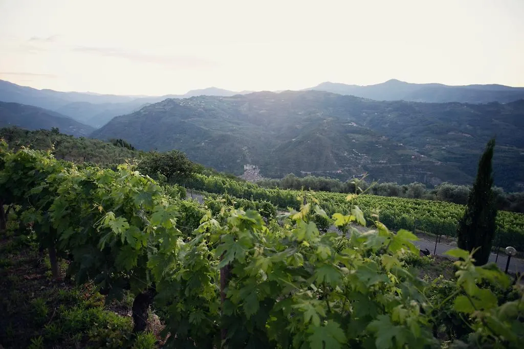 Terre Bianche Appartamenti Dolceacqua